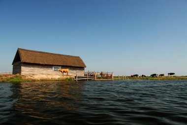 Bir gün güneşli yaz Gölü nün görünümü