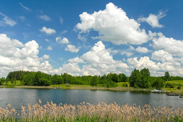 View Lake Sunny Day Poland — Stock fotografie