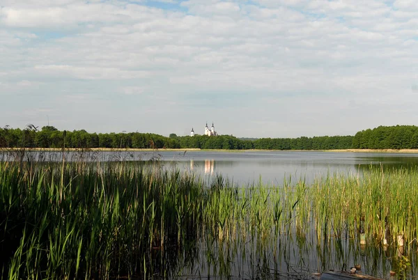 View Lake Sunny Day View Monastery Lake Lake Wigry Poland — Stockfoto