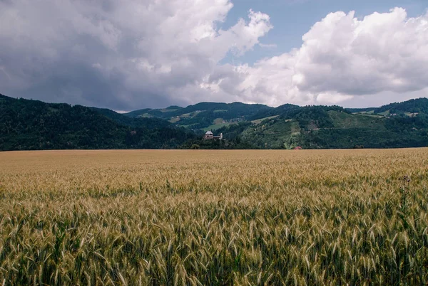 View Farmland Stormy Day —  Fotos de Stock