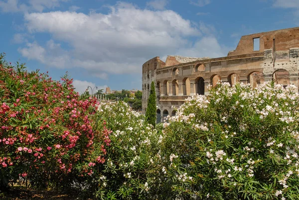 Roma Italia Junio 2000 Vista Del Coliseo Amphitheatrum Flavium Soleado — Foto de Stock