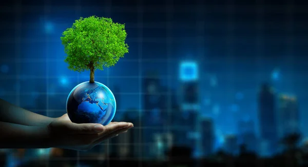 Mano Del Hombre Sosteniendo Árbol Tierra Con Tecnología Económica Árbol — Foto de Stock