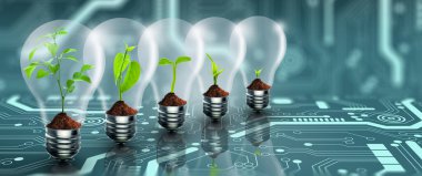 Tohumlar büyüyor. Ampullerde toprak yetişen ağaç. Doğa ekolojisi, büyüme, yeşili düşünün, enerji tasarrufu, yenilik, yeşil ekoloji enerjisi ve tasarruf ortamı.