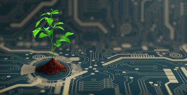 Bilgisayar devre kartının kesişme noktasında toprak yetişen ağaç. Dijital Yakınsama ve Teknolojik Yakınsama ile Doğa. Green Computing, Green Technology, Green IT, CSR ve IT etik kavramı.