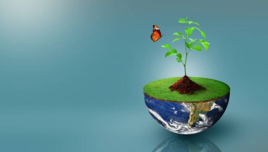Dünya 'nın yarım küresinde yeşil çimenler ve kelebeklerle birlikte büyüyen bitki. Dünya Ekolojisi, Dünya Çevre Günü, Dünya Toprak Günü ve Kurtarma Ortamı Konsepti. Görüntü NASA tarafından desteklenmektedir.