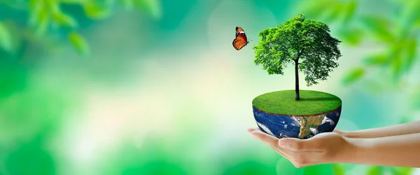 蝶と手を取り合って地球の半分に成長する木 ボケで緑の背景 世界精神保健と世界地球の日 Nasaが装備した要素 環境と世界生態学の概念 — ストック写真