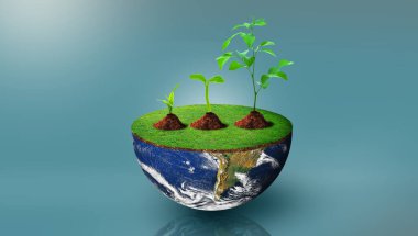 Üzerinde yeşil çimenler olan dünyanın yarım küresindeki farklı boyutlardaki bitkiler. Çevre Yönetimi, Dünya Çevre Günü ve Kurtarma Ortamı Konsepti. Görüntü NASA tarafından desteklenmektedir.