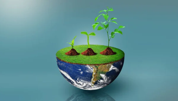 Planten Van Verschillende Grootte Halve Bol Van Planeet Aarde Met — Stockfoto