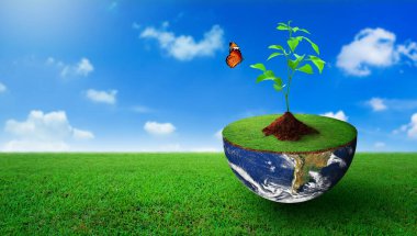 Plant growing on the half sphere with green grass on. Nature and Blue sky Background. World Ecology, World Environment Day, World Earth Day, and Saving environment Concept. Image furnished by NASA.