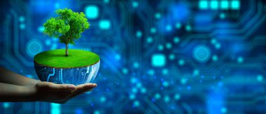 Ağacın büyüdüğü dijital saksıyı tutarak. Eko Teknoloji ve Teknoloji Yakınsaması. Green Computing, Green Technology, Green IT, CSR ve IT etik kavramı.