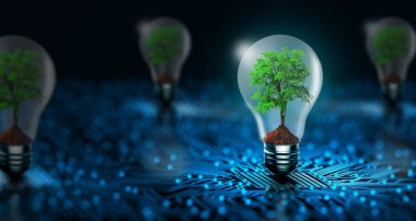 Dijital yakınsama ve mavi ağ teknolojisi arka planında büyüyen bir ağaç. Çevre Teknolojisi, Yeşil Teknoloji, Yeşil Bilgisayar, Bilişim Etiği, CSR ve Ücretsiz Bilgi İşlem Konsepti.