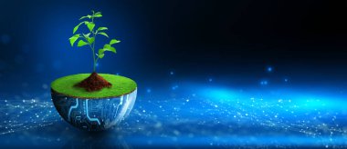 Dijital saksıda büyüyen ağaç. Eko Teknoloji ve Teknoloji Yakınsaması. Green Computing, Green Technology, Green IT, CSR ve IT etik kavramı.