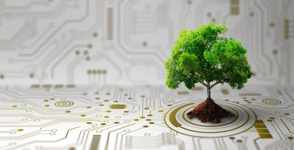 Bilgisayar devre kartının kesişme noktasında toprak yetişen ağaç. Dijital Yakınsama ve Teknolojik Yakınsama ile Doğa. Green Computing, Green Technology, Green IT, CSR ve IT etik kavramı.