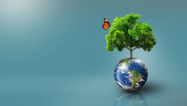 Dünya 'da yeşil çimenler ve kelebeklerle büyüyen ağaç. Dünya Ekolojisi, Dünya Çevre Günü, Dünya Toprak Günü ve Kurtarma Ortamı Konsepti. Görüntü NASA tarafından desteklenmektedir