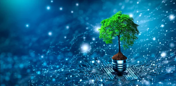 Tree with soil growing on Light bulb. Digital Convergence and and Technology Convergence. Blue light and network background. Green Computing, Green Technology, Green IT, csr, and IT ethics Concept.