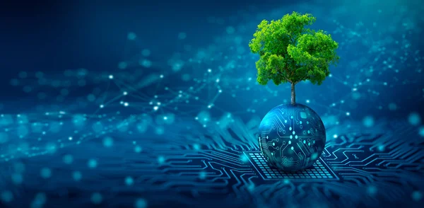 Tree growing on Circuit digital ball. Digital and Technology Convergence. Blue light and Wireframe network background. Green Computing, Green Technology, Green IT, csr, and IT ethics Concept.