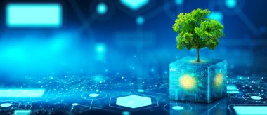 Tree growing on Circuit Digital Cube. Digital and Technology Convergence. Blue light and Wireframe network background. Green Computing, Green Technology, Green IT, csr, and IT ethics Concept.