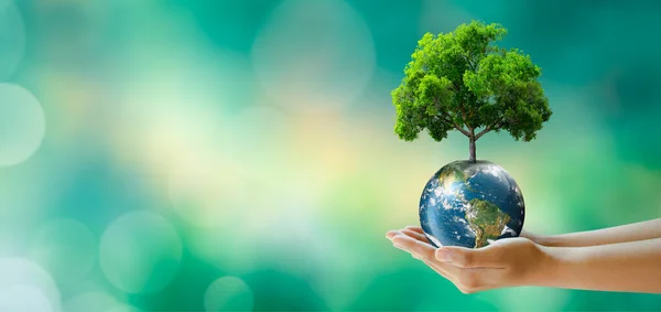 Hand holding tree on the world with sunny green grass bokeh background. Save clean planet, Save world and environment, Ecology, World Earth Day Concept. Elements furnished by NASA.