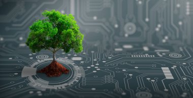 Bilgisayar devre kartının kesişme noktasında toprak yetişen ağaç. Dijital Yakınsama ve Teknolojik Yakınsama ile Doğa. Green Computing, Green Technology, Green IT, CSR ve IT etik kavramı.