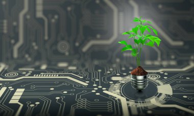 Ampulde toprak büyüyen ağaç. Dijital Yakınsama ve Teknolojik Yakınsama ile Doğa. Green Computing, Green Technology, Green IT, CSR ve IT etik kavramı.