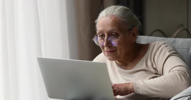 以老年人为重点的女性养恤金领取者学习使用现代笔记本电脑 — 图库视频影像