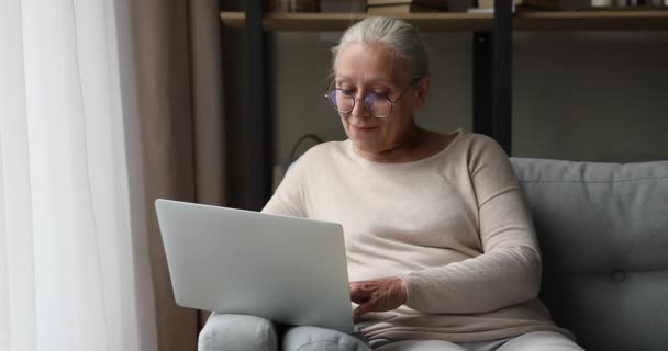 Euphoric mais velha fêmea celebrar o sucesso da loteria on-line pela tela do laptop — Vídeo de Stock