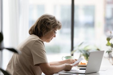 Odaklanmış ev sahibi, ev sahibi ve dizüstü bilgisayarında kağıt okuyan ev sahibi.