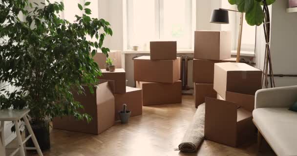 Living room of apartment with cardboard boxes at moving day — Stock Video