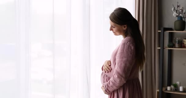 Serene millennial femme enceinte stand by light window caresse ventre — Video