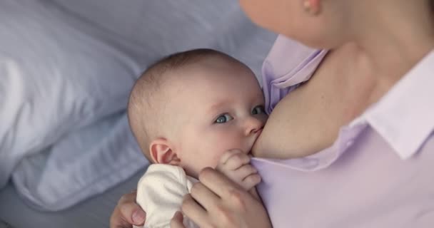 Boldog gondoskodó anya etetés apró kis baba anyatejjel — Stock videók
