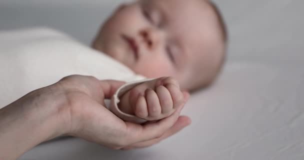 Sereno bebé siesta mientras cuidado mamá acariciando su pequeña palma — Vídeos de Stock