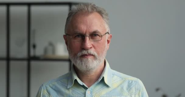 Headshot portrait confident grey haired older age man in glasses — Stock Video