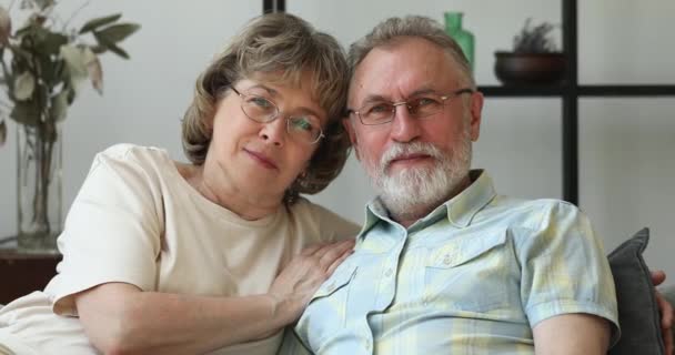 Headshot portrait happy older married couple embracing on sofa laughing — ストック動画