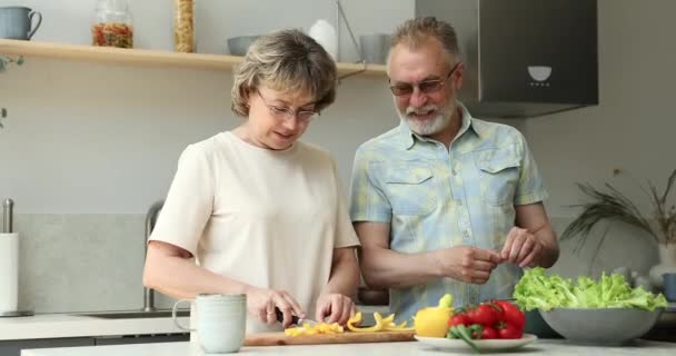 Freundliche ältere Ehepartner unterhalten sich beim Zubereiten des Frühstücks in der Küche — Stockvideo