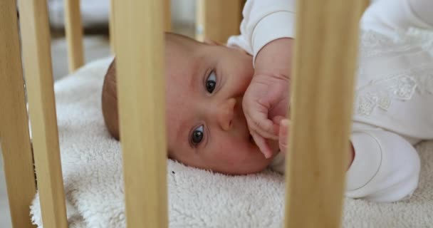 Liebenswertes Kleinkind liegt allein im Babybett und saugt Finger — Stockvideo