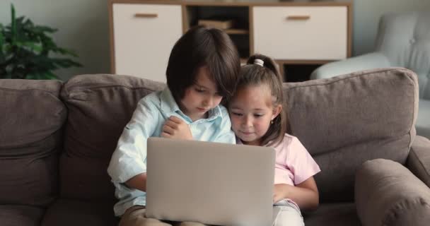 Lindos niños en edad preescolar se sientan en el sofá solos usando computadora portátil — Vídeos de Stock