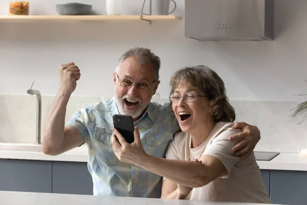 Overjoyed senior couple celebrating mobile internet success. — Stock Fotó