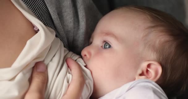 Close up view adorable baby sucks mothers milk — стоковое видео