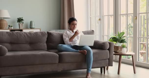 Indiska frilansare kvinna sitter på soffan med bärbar dator som arbetar på distans — Stockvideo