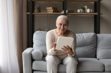 Mutlu yaşlı bayan tablet bilgisayarda internette geziniyor.