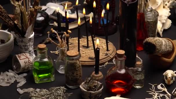 Cerimônia Bruxaria Com Objetos Magia Negra Ritual Cogumelos Mágicos Natureza — Vídeo de Stock