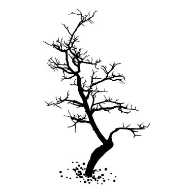 Çıplak ağaç silueti. Ağaç gövdesinin yapraksız ve iğnesiz elle çizilmiş şekli. Kış mevsimi ağacı ya da ölü yaşlı bitki. Hastalıklı kuru yapraklar döküldü. Vektör. 