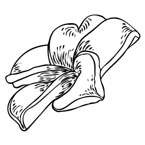 Plumeria Ανοιχτά Μπουμπούκια Παραδοσιακό Τροπικό Κολιέ Της Χαβάης Στεφάνι Λαιμό — Διανυσματικό Αρχείο
