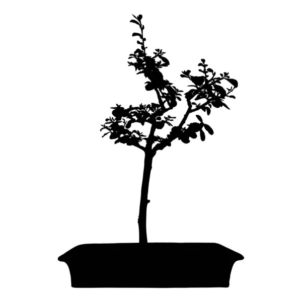 Σχήμα Δέντρου Σιλουέτα Του Φυτού Μπονσάι Χέρι Ζωγραφισμένο Παραδοσιακή Ασιατική — Διανυσματικό Αρχείο