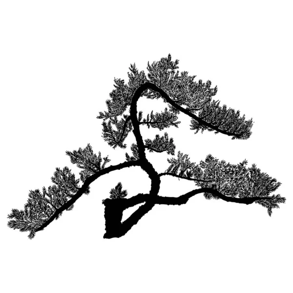Realistischer Baum Isoliert Auf Weißem Hintergrund Silhouette Von Fichte Kiefer — Stockvektor