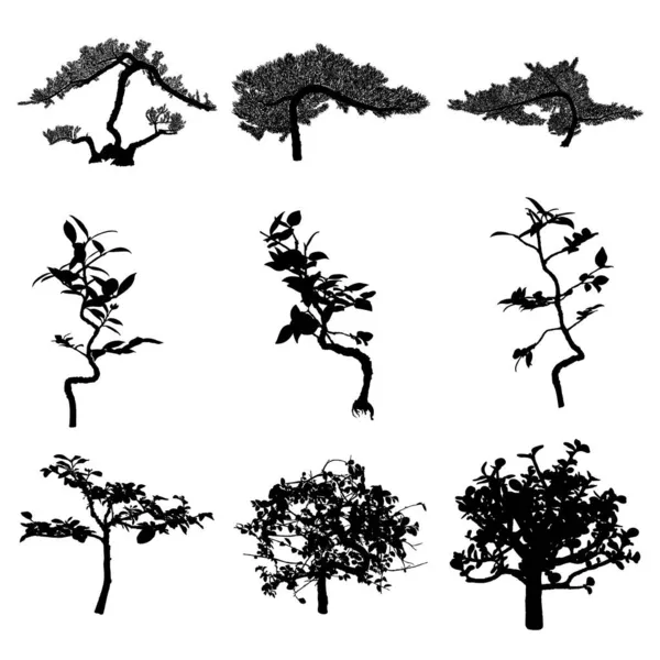 Conjunto Silueta Negra Árbol Bonsai Planta Sobre Fondo Blanco Colección — Archivo Imágenes Vectoriales