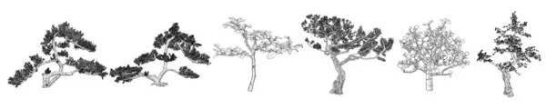 Conjunto Árboles Bonsai Ilustración Plantas Blancas Negras Dibujadas Mano Sobre — Archivo Imágenes Vectoriales