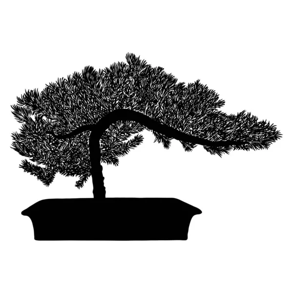 盆景树黑色轮廓 白色背景 详细的孤立图像 装饰艺术的业余爱好是在罐子里种植小树 亚洲血统 — 图库矢量图片