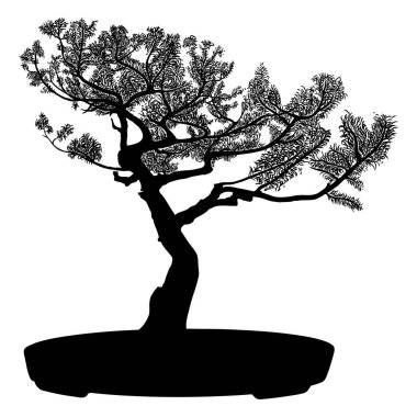 Beyaz arka planda Bonsai ağacı siyah silueti. Ayrıntılı izole görüntü. Dekoratif sanatlar hobisi tencerede mini ağaç yetiştirmek. Asya kökenli. Vektör.
