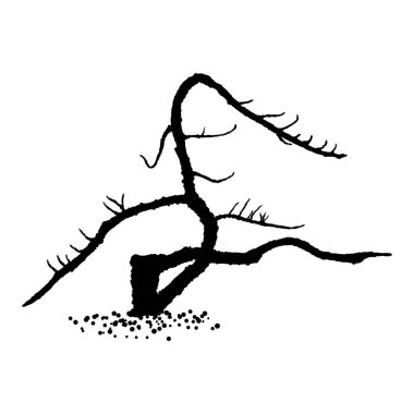 Çıplak ağaç silueti. Ağaç gövdesinin yapraksız ve iğnesiz elle çizilmiş şekli. Kış mevsimi ağacı ya da ölü yaşlı bitki. Hastalıklı kuru yapraklar döküldü. Vektör. 